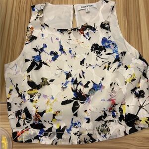 Elizabeth and James Terri Crop Top